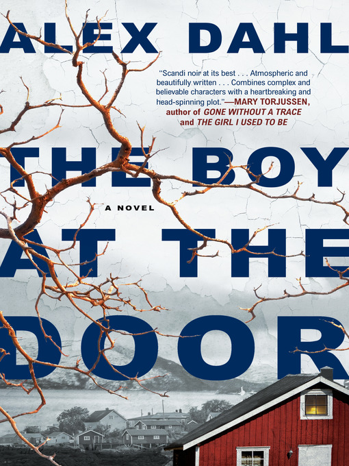 Cover image for The Boy at the Door